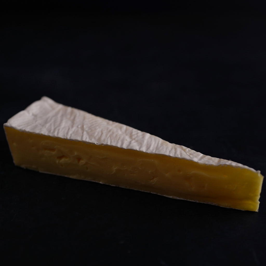 食品サンプル　チーズ　リアル
